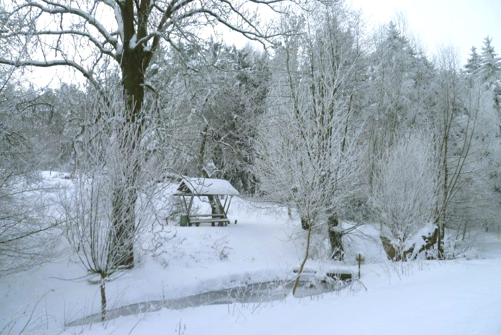 Das Drösseltal bei Neukirchen im Winter